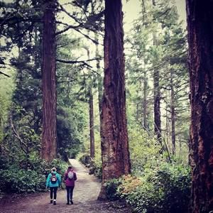 Meet your Posher, Sophie